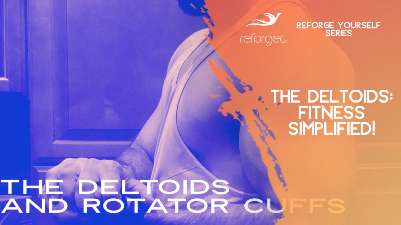 The Deltoids and Rotator Cuffs: Muscular Development Guide 2020