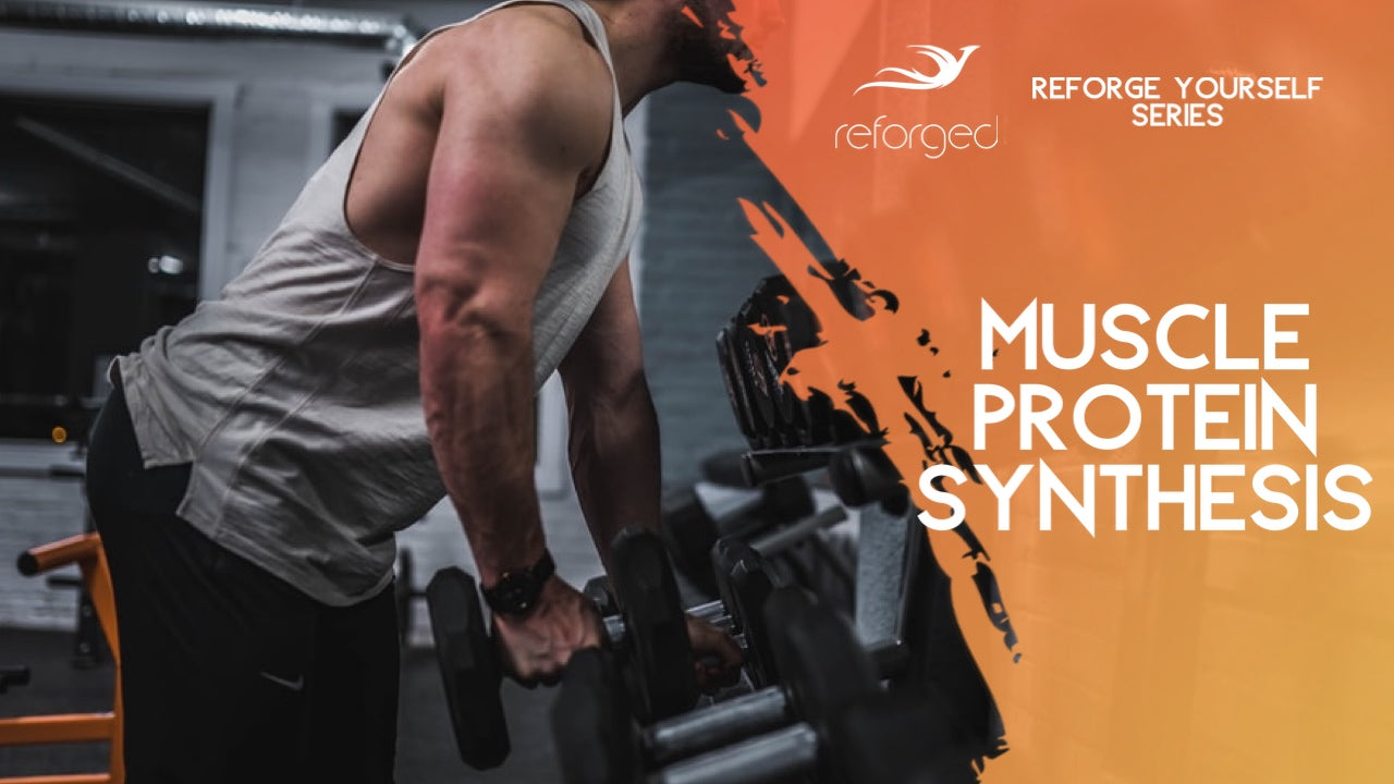 Muscle Protein Synthesis And 3 Ways to Optimize It!