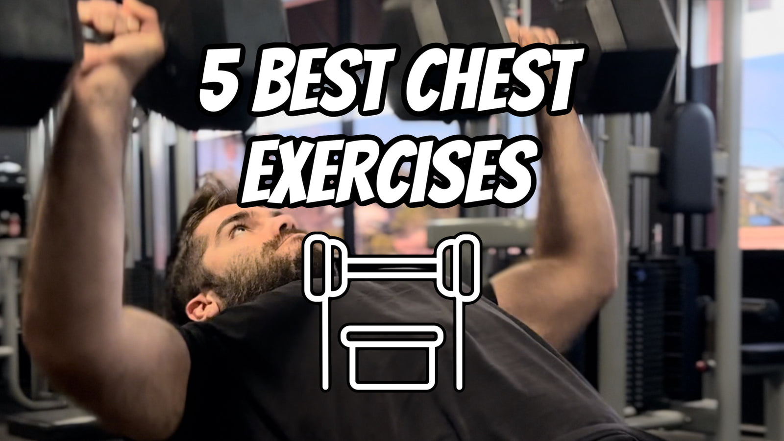 5 Best Chest Exercises: The Ultimate Chest Development Guide - Reforged