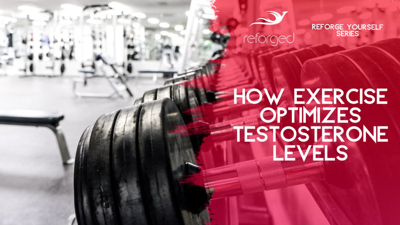 How Exercise Improves Testosterone